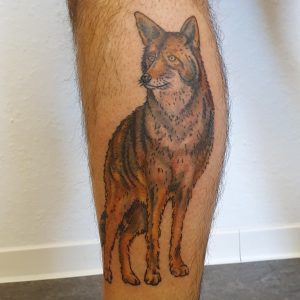 Coyote Tattoo