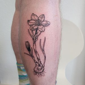 Crocus Tattoo