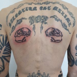 Katzenschädel Tattoo