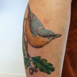 Foto von einem bunten Kleiber Tattoo