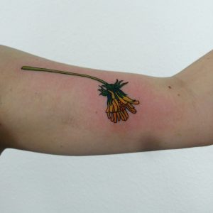 Löwenzahn Tattoo