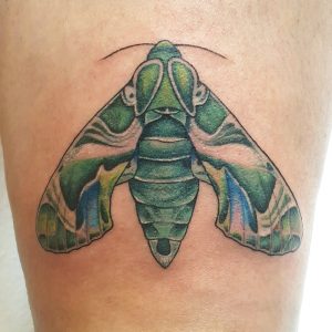 Motten Tattoo