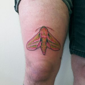 Buntes Motten Tattoo
