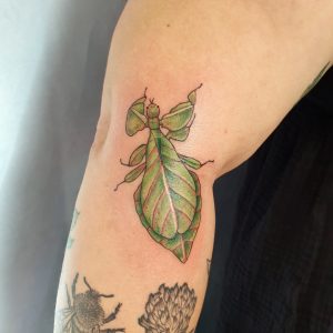 Phylliidae Tattoo