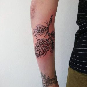 Tannenzapfen Tattoo