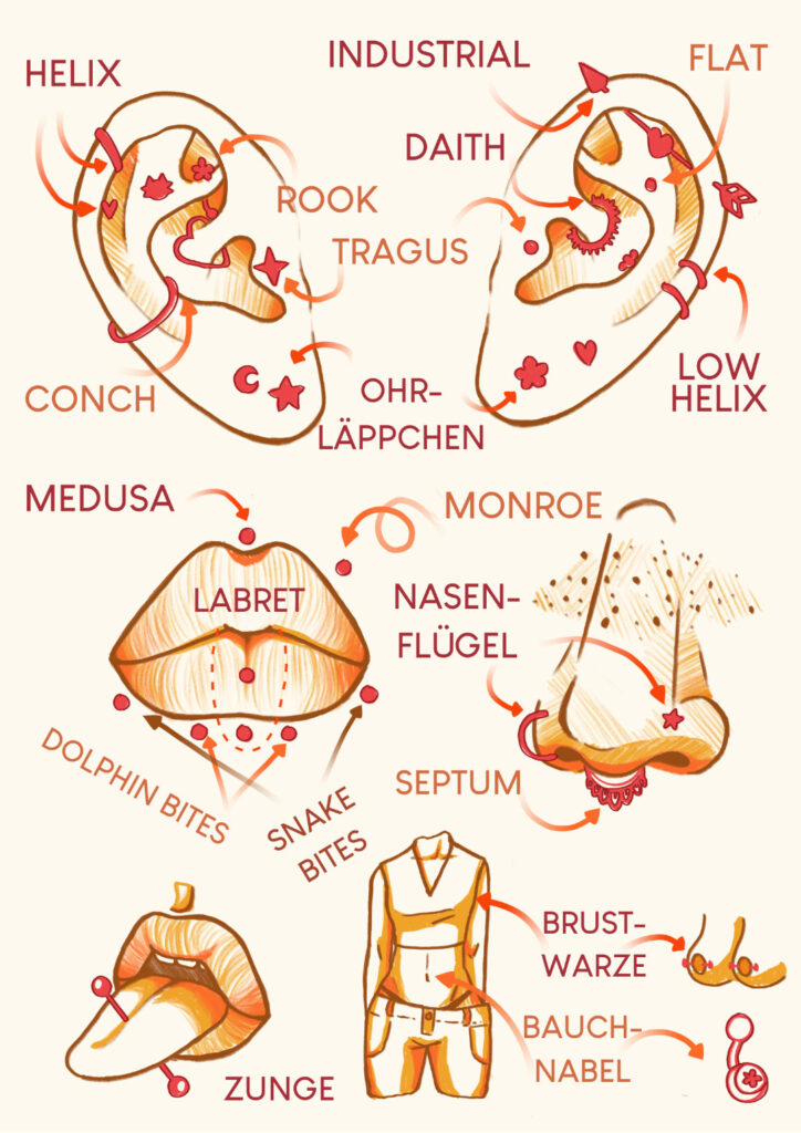 Illustration of different parts of the body with piercings and their respective names.